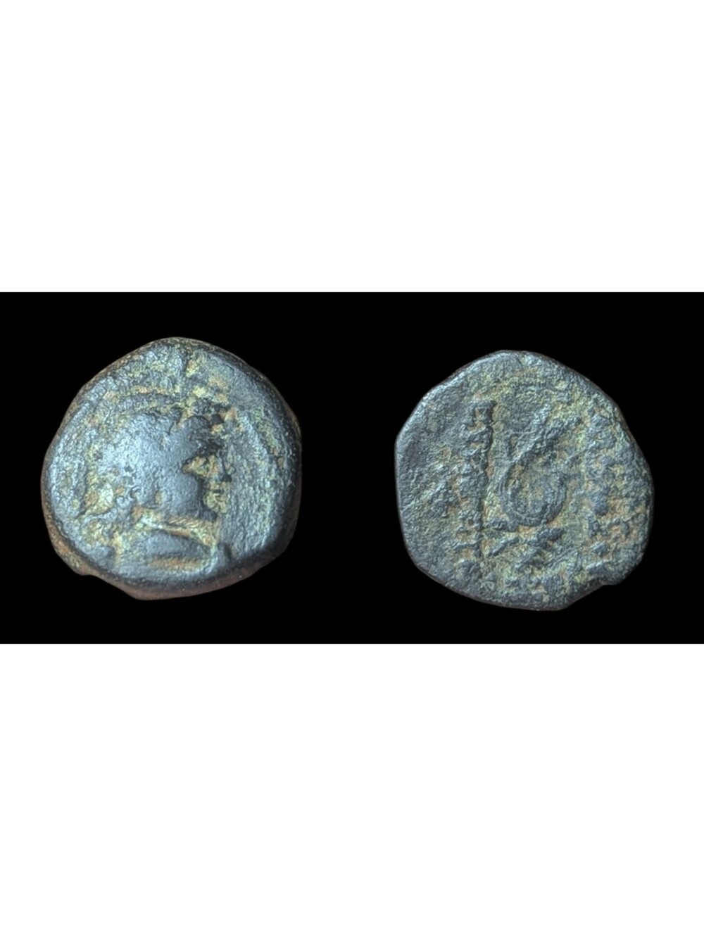 Ancient Greek Seleucid EmpireDichalkon - Antiochos VII